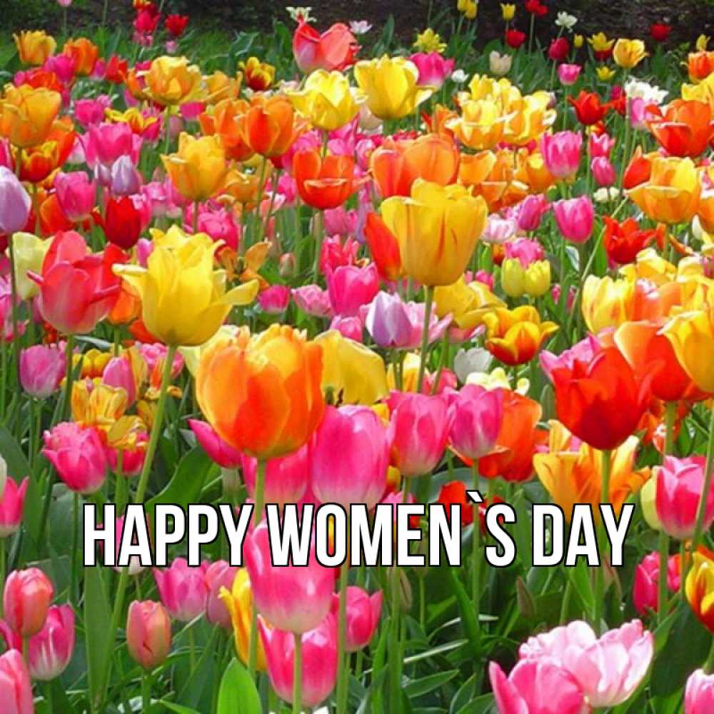Greetings card с именем, выберите-имя happy women`s day на международный женский день Greetings with text for free download 